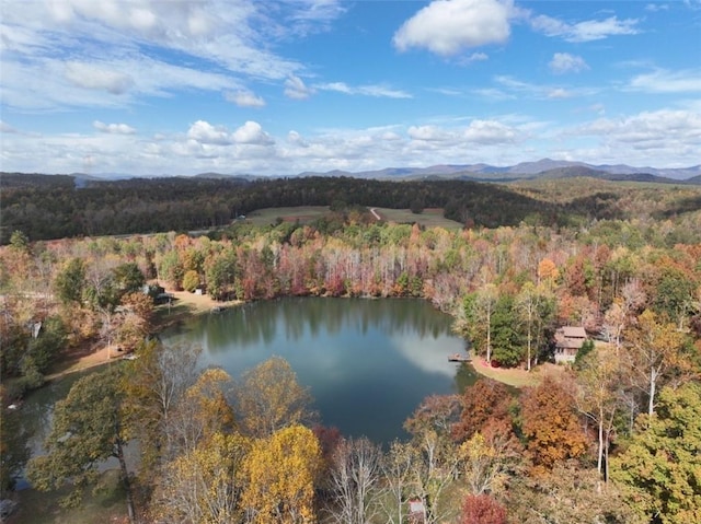 4B Piper Ln, Pickens, SC 29671 - photo 11