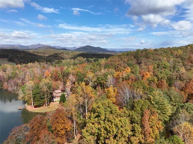 4B Piper Ln, Pickens, SC 29671 - photo 12