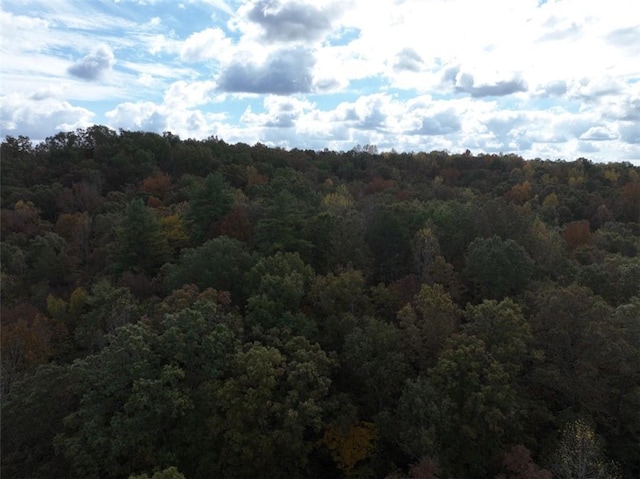 4B Piper Ln, Pickens, SC 29671 - photo 14