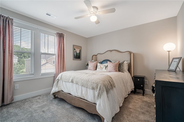210 Obsidian Ct, Simpsonville, SC 29680 - bedroom featuring carpet floors, multiple windows, and ceiling fan