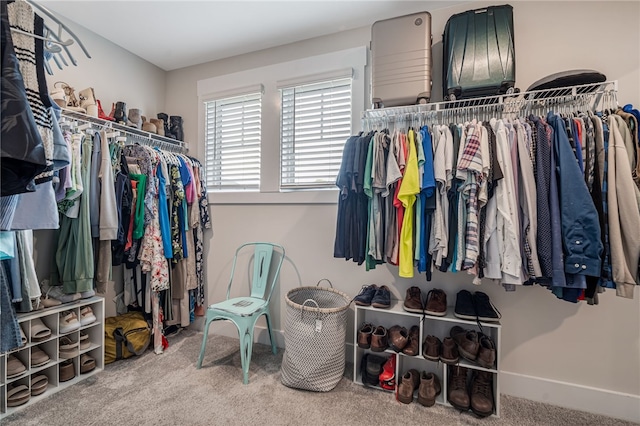 210 Obsidian Ct, Simpsonville, SC 29680 - walk in closet with carpet floors