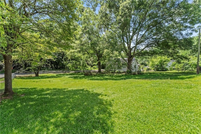 503 Burris St, Anderson, SC 29625 - view of grassy yard