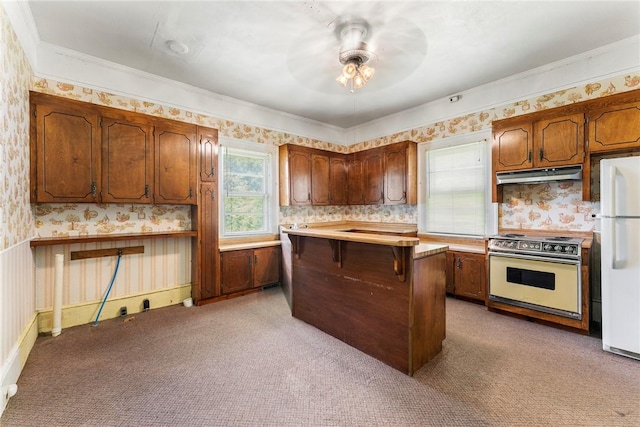 503 Burris St, Anderson, SC 29625 - kitchen featuring electric stove, wallpapered walls, freestanding refrigerator, under cabinet range hood, and ceiling fan
