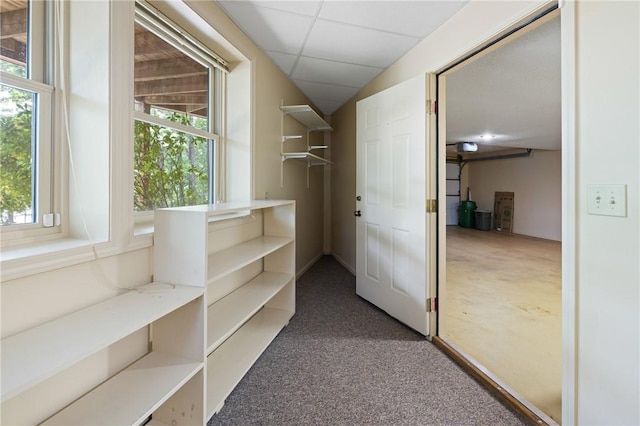 14 Windlass Ct, Salem, SC 29676 - spacious closet with carpet floors