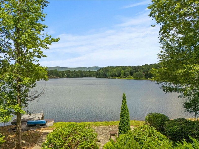 102 Happy Hollow Ct, Tamassee, SC 29686 - photo 27