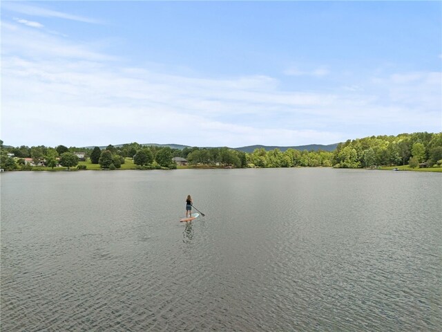102 Happy Hollow Ct, Tamassee, SC 29686 - photo 28