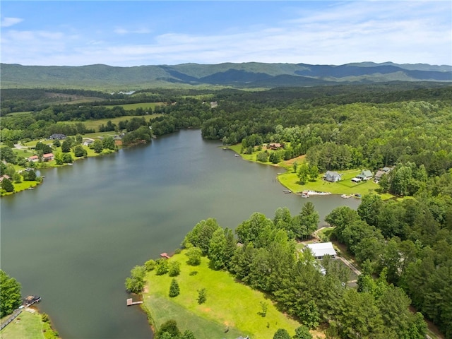 102 Happy Hollow Ct, Tamassee, SC 29686 - photo 29