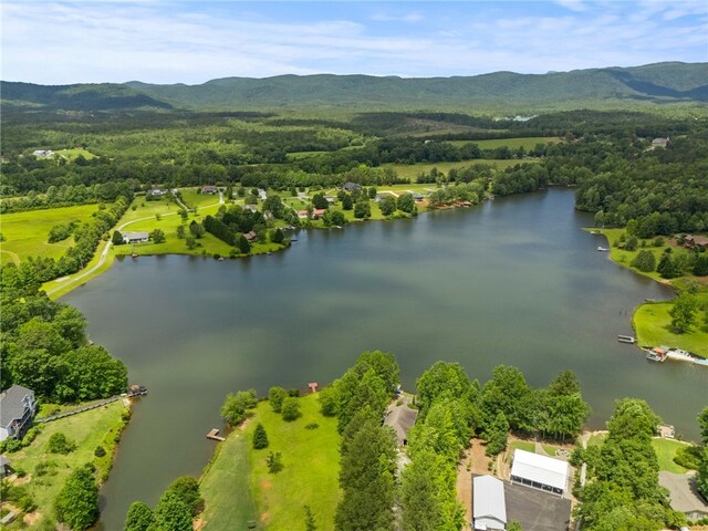 102 Happy Hollow Ct, Tamassee, SC 29686 - photo 30
