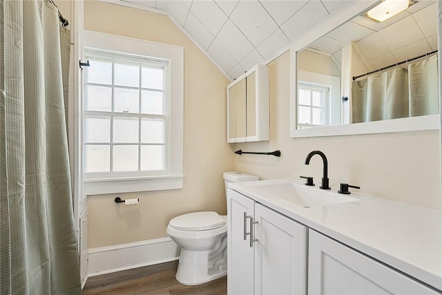 23 Gilmer Dr, Anderson, SC 29621 - bathroom featuring wood finished floors, vaulted ceiling, vanity, and a shower with shower curtain
