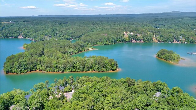 65 Mainsail Dr, Salem, SC 29676 - photo 20