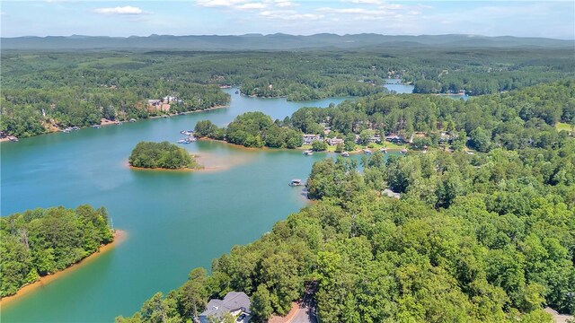 65 Mainsail Dr, Salem, SC 29676 - photo 21
