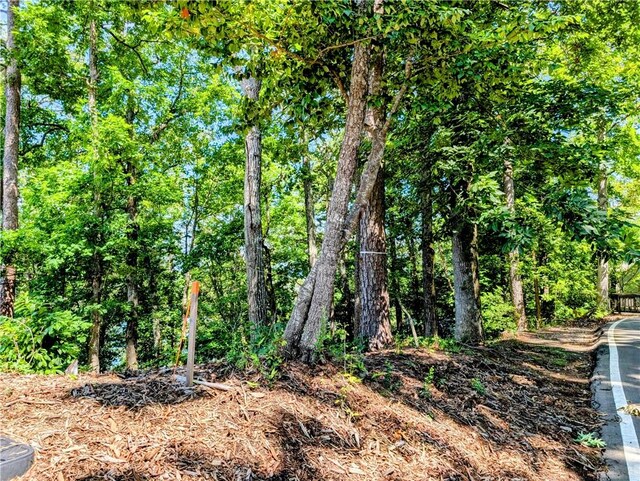 65 Mainsail Dr, Salem, SC 29676 - photo 12