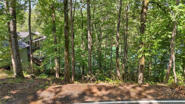 65 Mainsail Dr, Salem, SC 29676 - photo 13