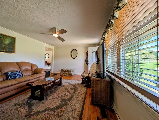125 Chastain Rd, Central, SC 29630 - photo 5
