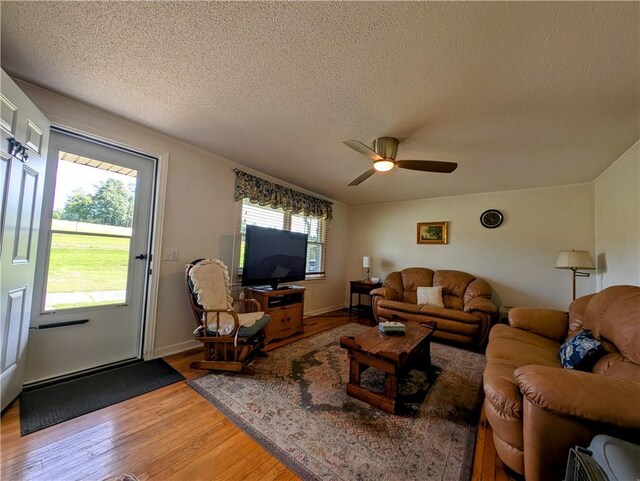 125 Chastain Rd, Central, SC 29630 - photo 3