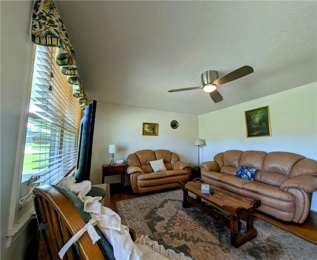 125 Chastain Rd, Central, SC 29630 - photo 4