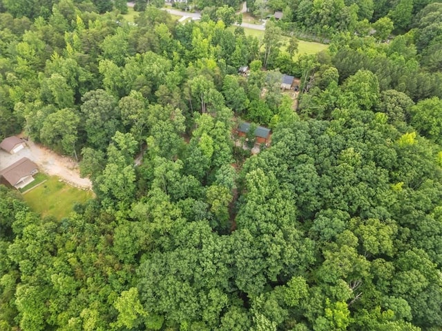 1150 Chinquapin Rd, Travelers Rest, SC 29690 - photo 36