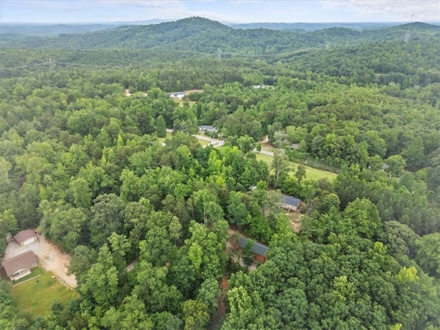 1150 Chinquapin Rd, Travelers Rest, SC 29690 - photo 34