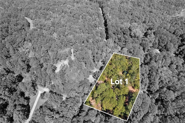 01 Camp Creek Rd, Townville, SC 29689