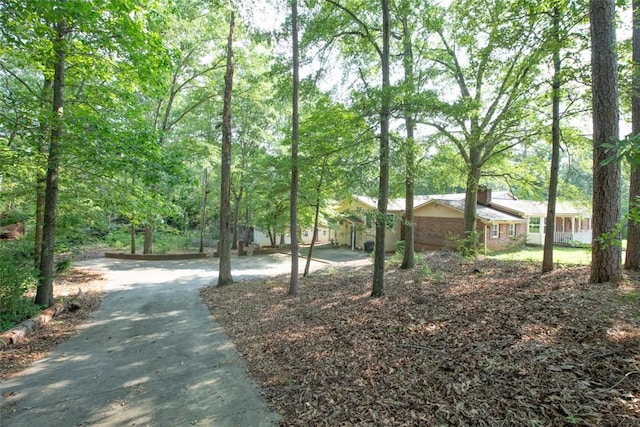 107 Meadow Dr, Seneca, SC 29678 - photo 11