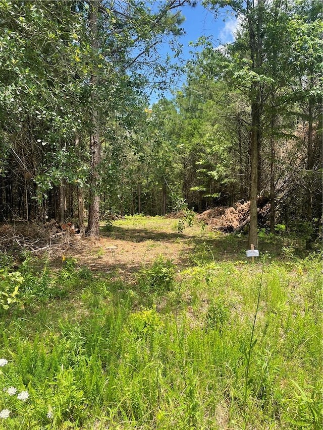 96 Deacon Rd, Calhoun Falls, SC 29628 - photo 1