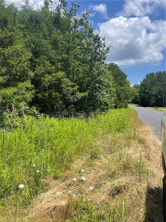 96 Deacon Rd, Calhoun Falls, SC 29628 - photo 2