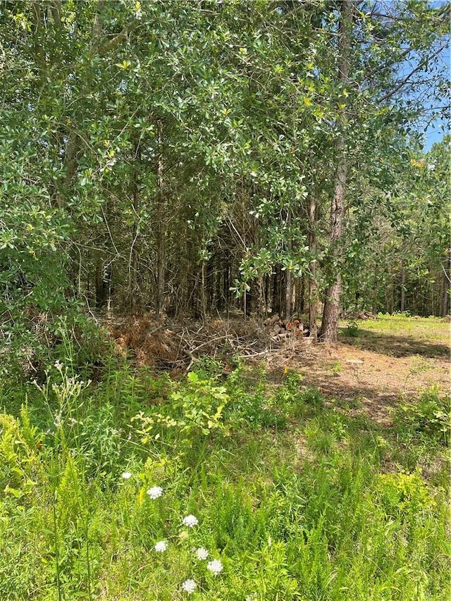 96 Deacon Rd, Calhoun Falls, SC 29628 - photo 3