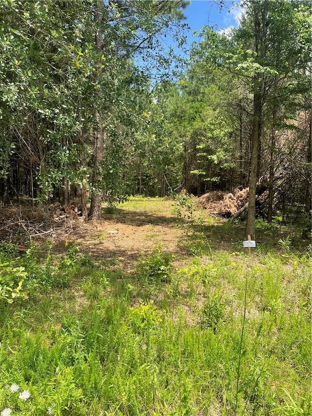 96 Deacon Rd, Calhoun Falls, SC 29628 - photo 4
