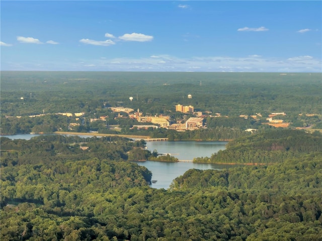 513 Shiloh Rd, Seneca, SC 29678 - drone / aerial view of a heavily wooded area and a large body of water