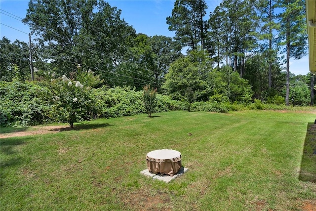 137 Golden Eagle Ln, Anderson, SC 29621 - view of green lawn