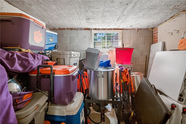 260 Riggs Dr, Clemson, SC 29631 - view of storage area