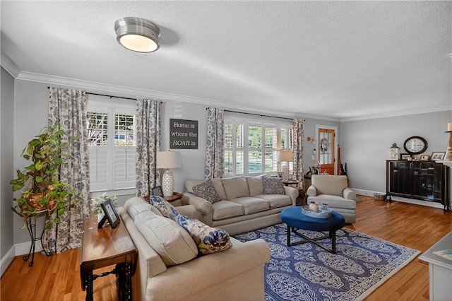 260 Riggs Dr, Clemson, SC 29631 - living room featuring plenty of natural light, a textured ceiling, ornamental molding, and wood finished floors