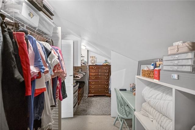 260 Riggs Dr, Clemson, SC 29631 - walk in closet with lofted ceiling and carpet floors