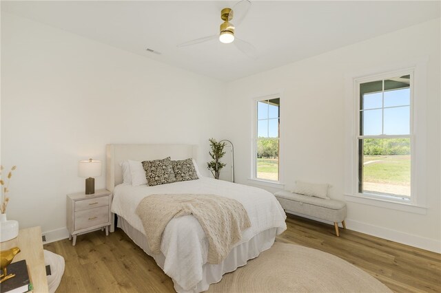 355 Dobbins Rd, Townville, SC 29689 - photo 15