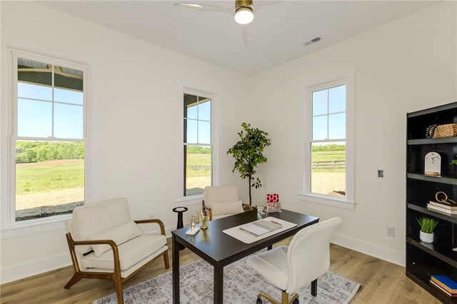 355 Dobbins Rd, Townville, SC 29689 - photo 18