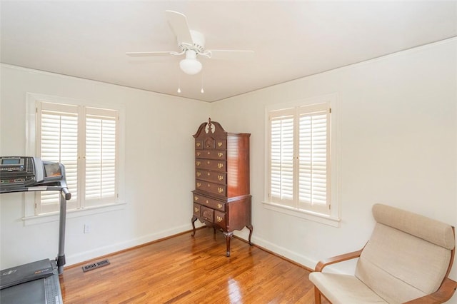 205 James St, Anderson, SC 29625 - exercise room featuring healthy amount of natural light, light wood finished floors, and ceiling fan