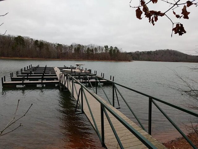 1132 Harts Ridge Dr, Seneca, SC 29678 - dock featuring a water view and a view of trees