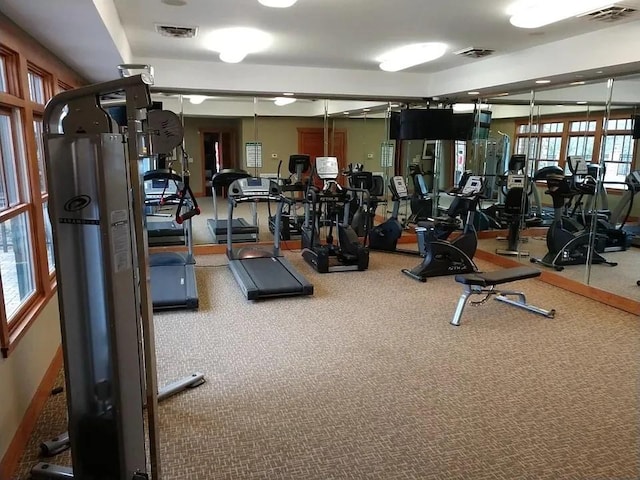 1132 Harts Ridge Dr, Seneca, SC 29678 - exercise room featuring healthy amount of natural light and carpet flooring