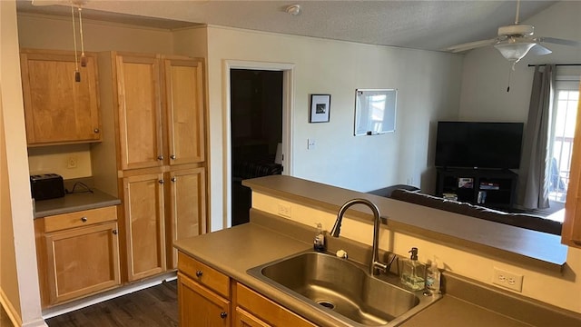 1132 Harts Ridge Dr, Seneca, SC 29678 - kitchen featuring a ceiling fan, dark wood-type flooring, and open floor plan
