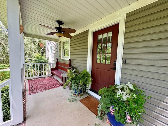 203 Ashley Rd, Clemson, SC 29631 - doorway to property featuring a porch and ceiling fan