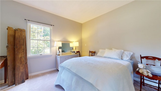 203 Ashley Rd, Clemson, SC 29631 - bedroom featuring light carpet and baseboards