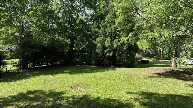 203 Ashley Rd, Clemson, SC 29631 - view of grassy yard