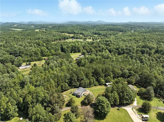 159 Rabbit Rd, Pickens, SC 29671 - bird's eye view of a heavily wooded area