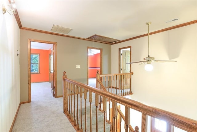 111 Halifax Rd, Easley, SC 29642 - corridor with attic access, an upstairs landing, light colored carpet, and ornamental molding