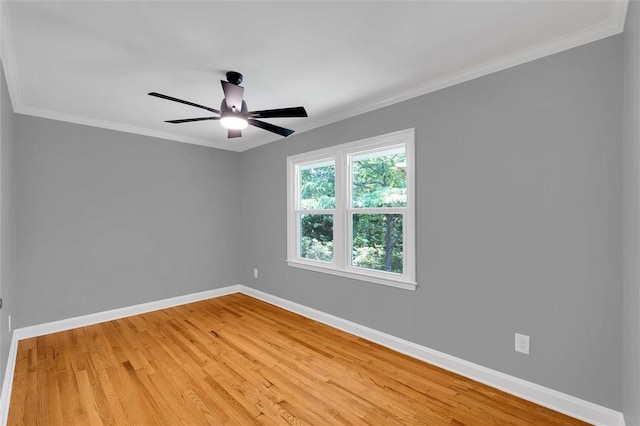 209 Manley Dr, Clemson, SC 29631 - photo 20