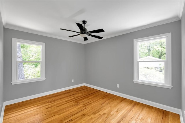 209 Manley Dr, Clemson, SC 29631 - photo 23