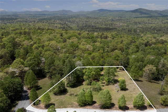 002 Lenore B Ln, Mountain Rest, SC 29664 - photo 1