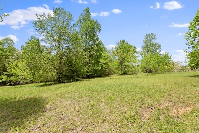 002 Lenore B Ln, Mountain Rest, SC 29664 - photo 2
