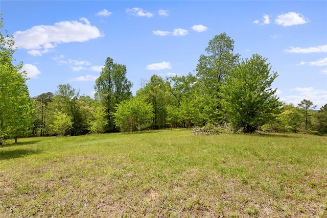 002 Lenore B Ln, Mountain Rest, SC 29664 - photo 3