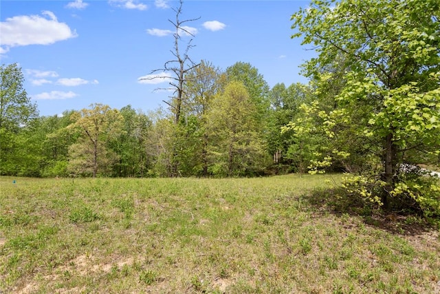 002 Lenore B Ln, Mountain Rest, SC 29664 - photo 4